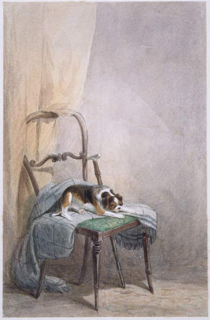 Detail of Study of a dog on a chair by William Henry Hunt