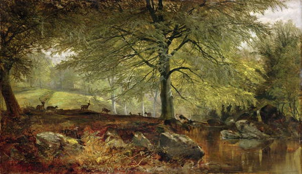 Detail of Deer in a Wood by Joseph Adam