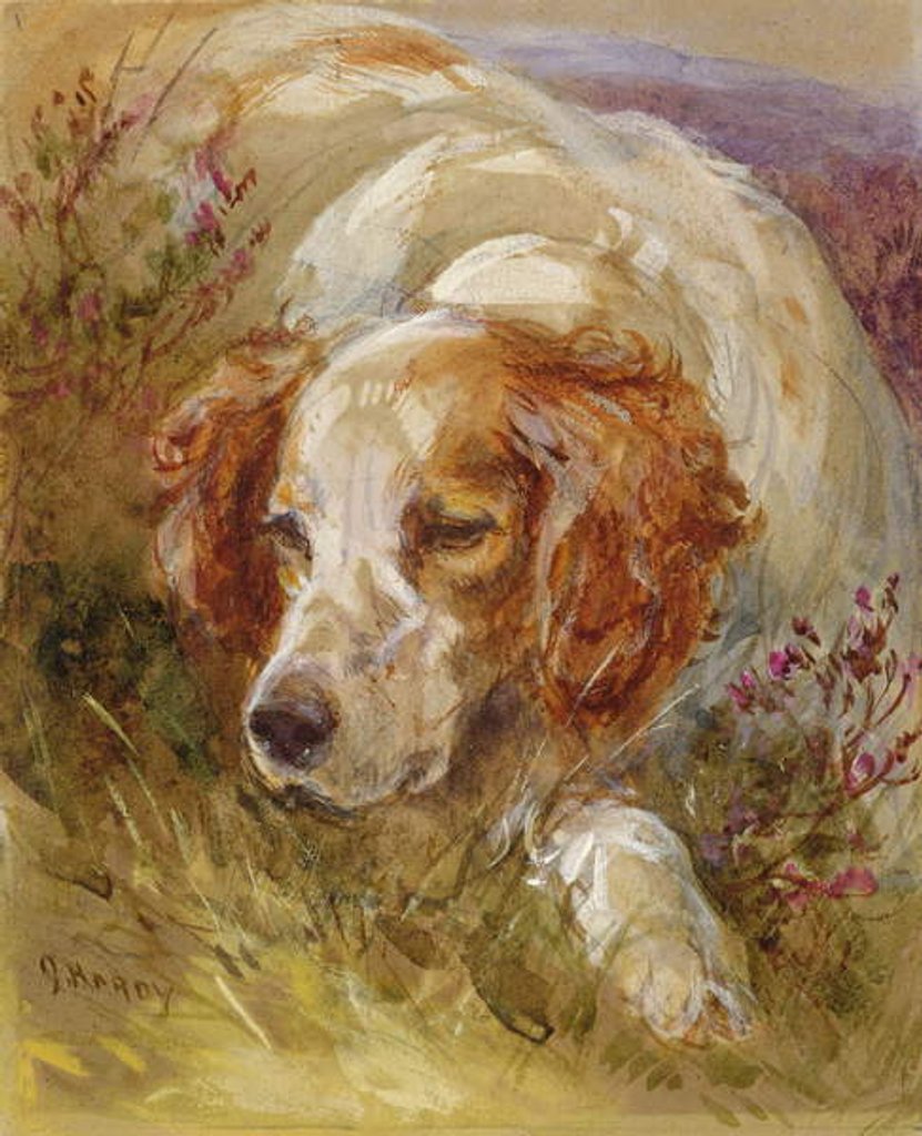 Detail of A Spaniel by James Jnr Hardy