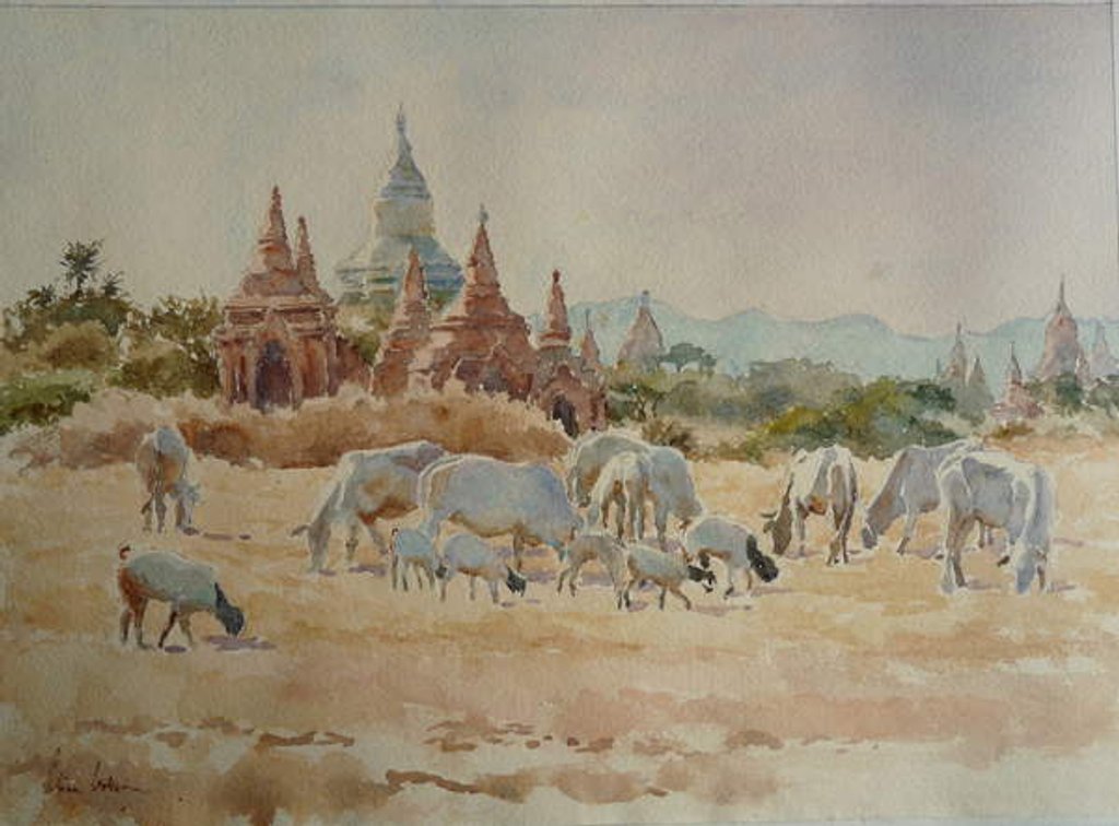 Detail of 931 Towards Schwesandaw by Clive Wilson