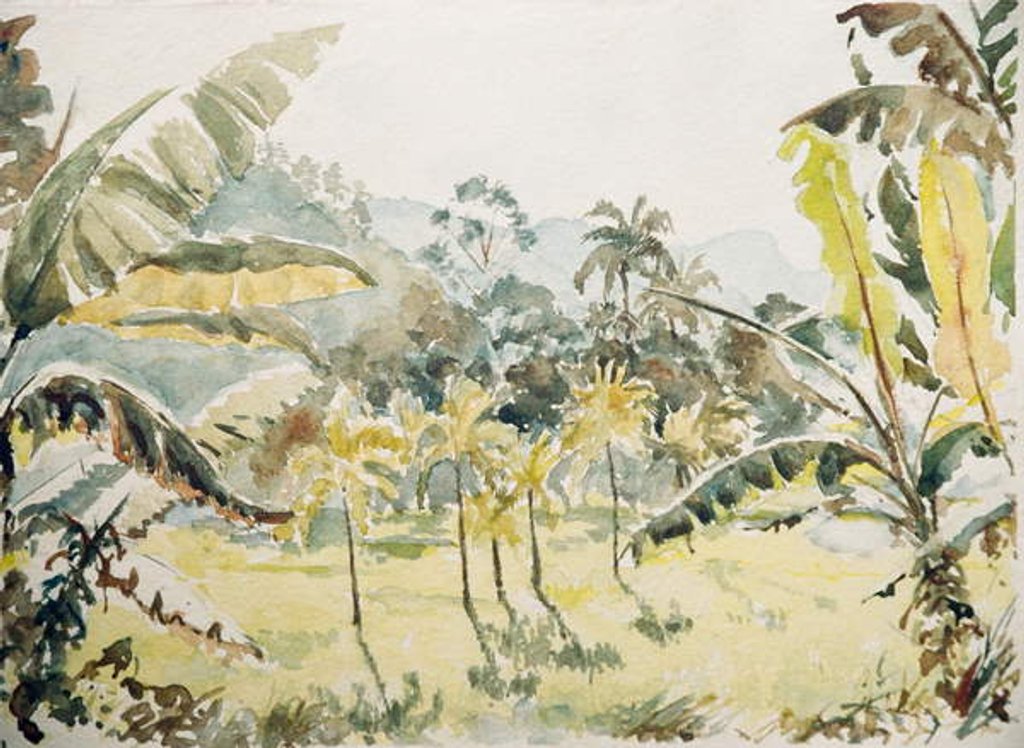 Detail of 724 Paddy fields, Ramboda by Clive Wilson