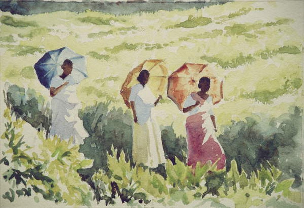 Detail of 746 Sunshades, Ramboda by Clive Wilson