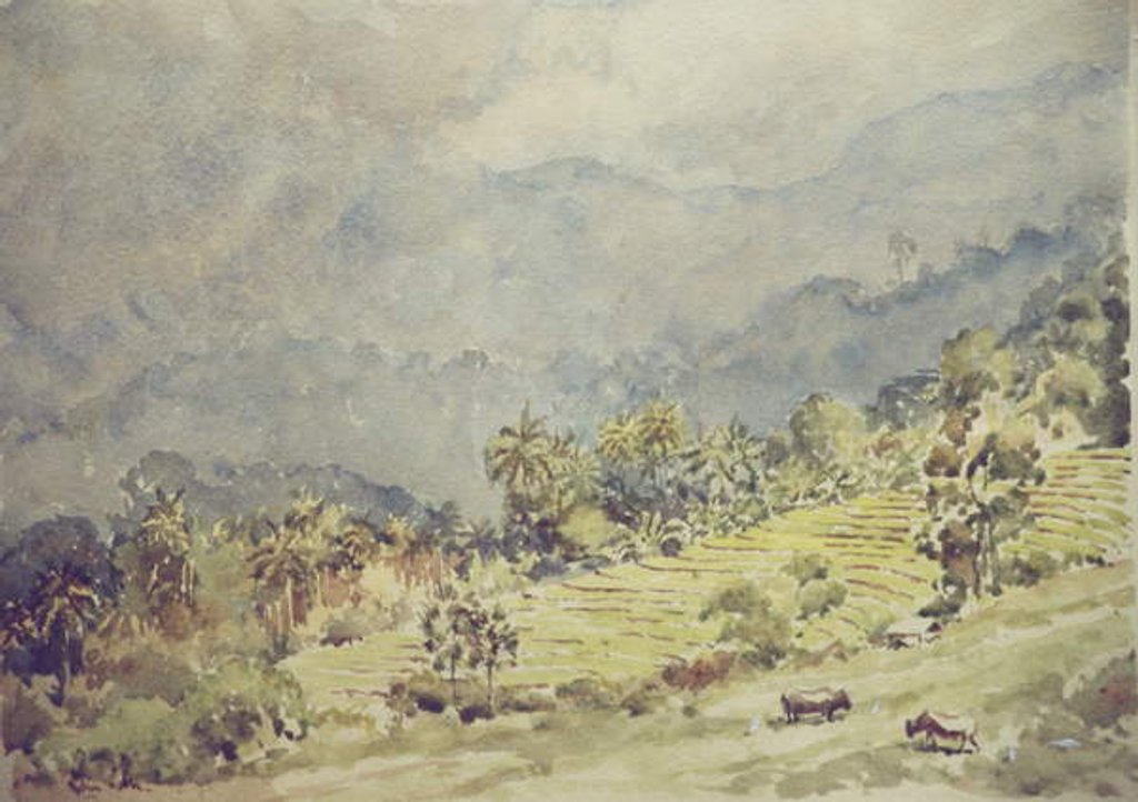 Detail of 754 Elkaduwa, storm approaching by Clive Wilson