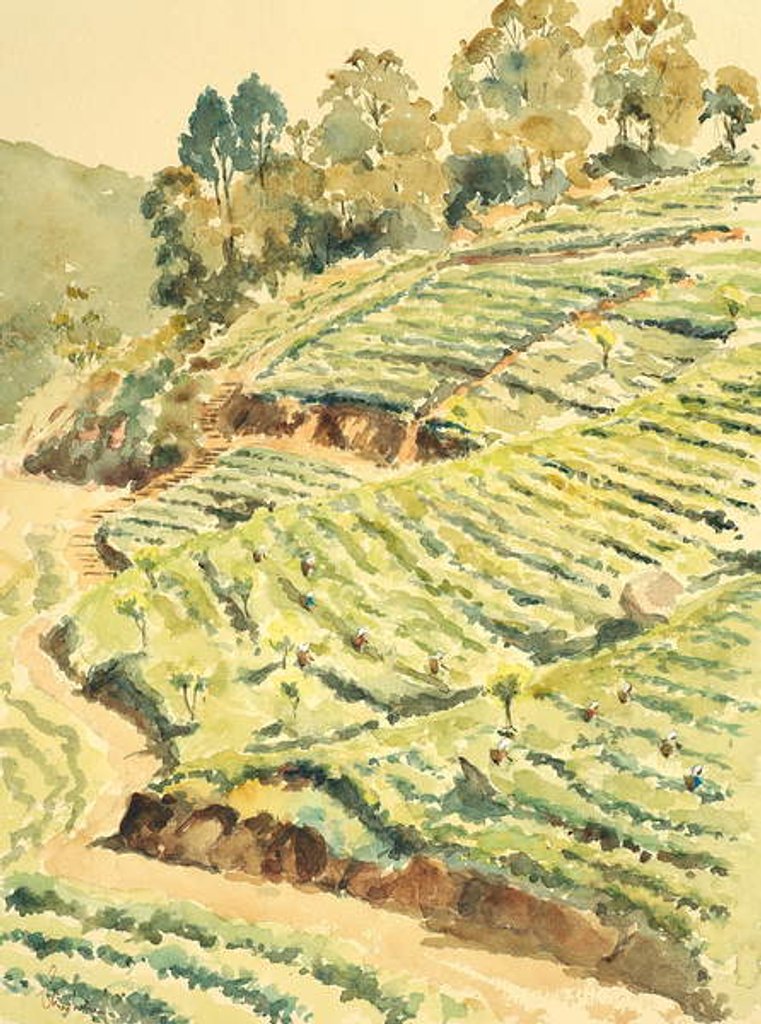 Detail of 727 Tea pickers, Glenmore by Clive Wilson