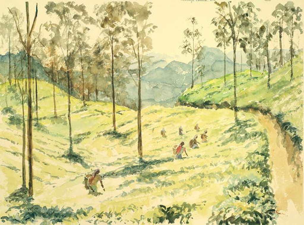 Detail of 728 Tea pickers near Ella by Clive Wilson