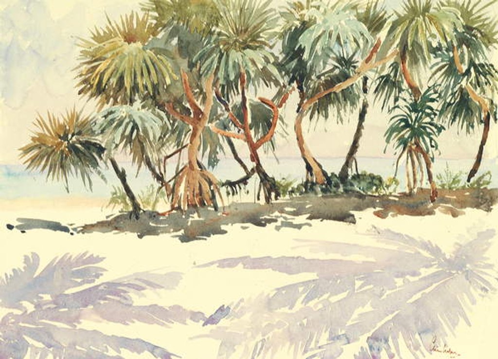 Detail of 735 Straw trees, Bentota by Clive Wilson