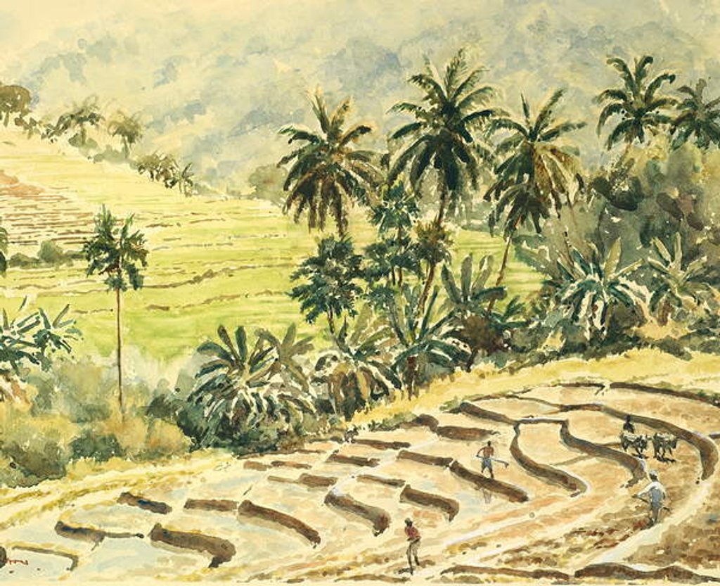 Detail of 741 Dunhinda, preparing the paddy fields by Clive Wilson