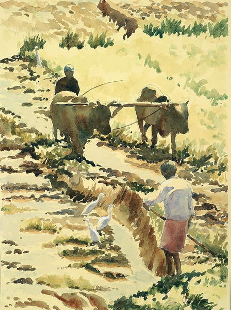 Detail of 753 Preparing the paddy field by Clive Wilson