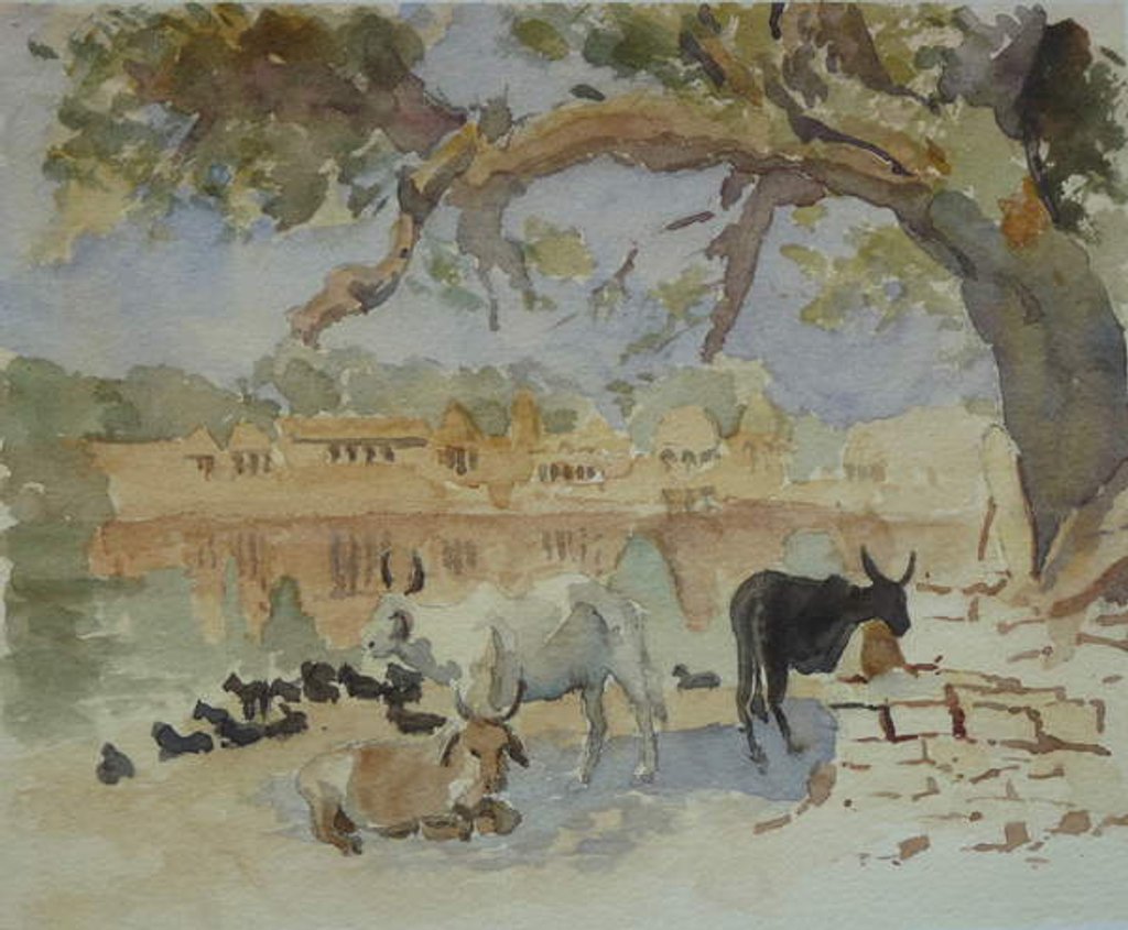 Detail of 435A Jaisalmer - Gadi Sagar by Clive Wilson