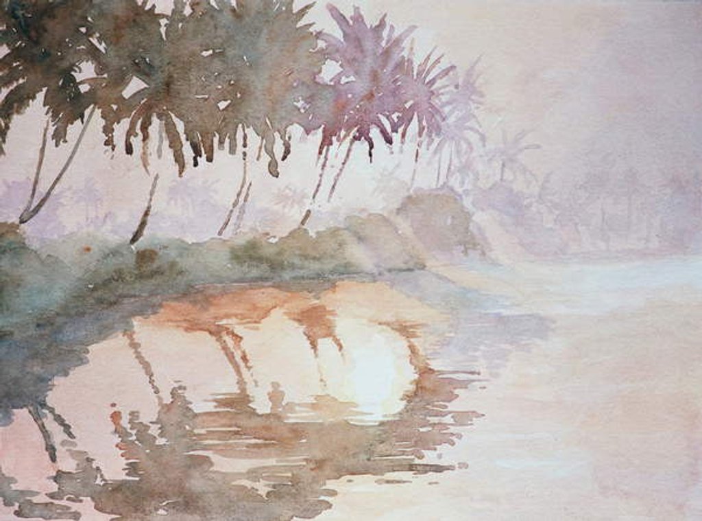 Detail of 636 Backwaters, sun rising through mist by Clive Wilson
