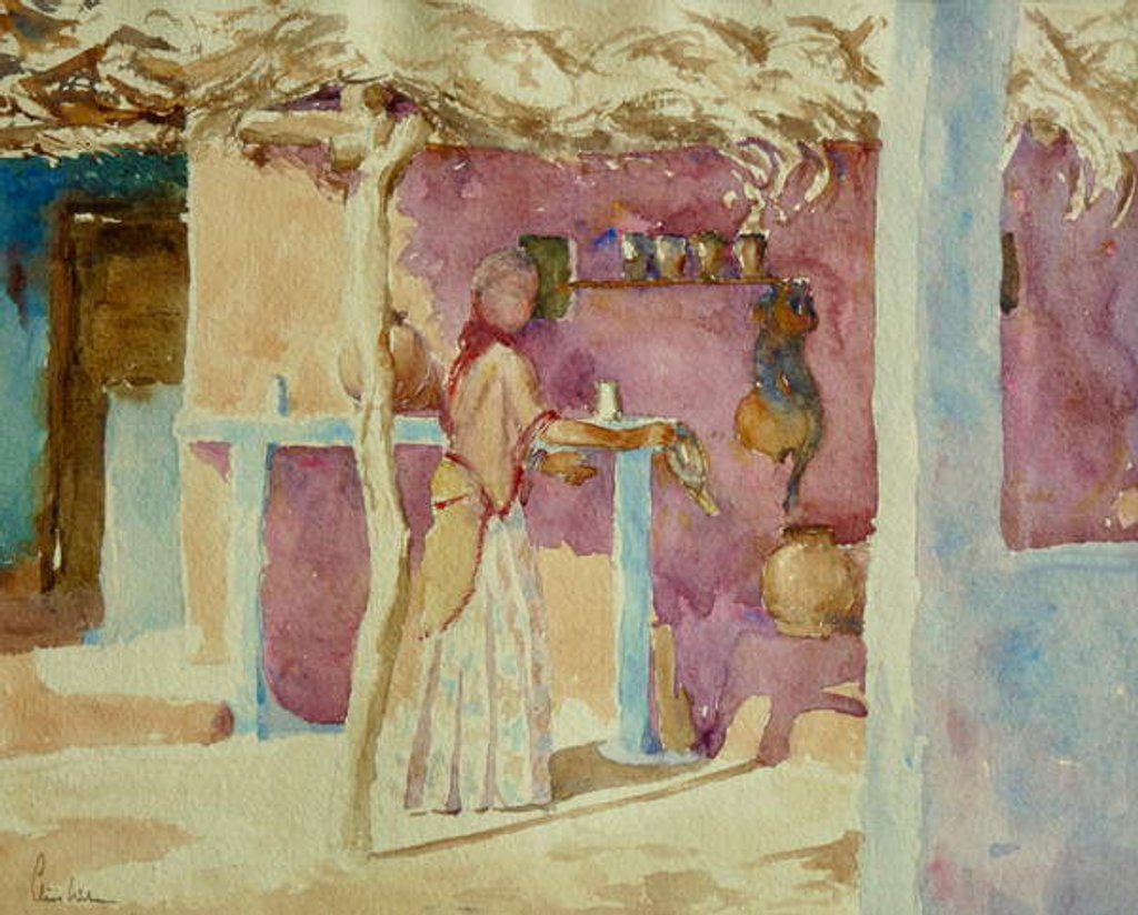 Detail of 659 Brahmin Village, veiled by Clive Wilson