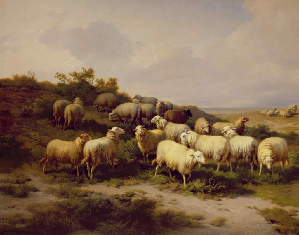 Detail of Sheep on the Coast, 1878 by Eugene Joseph Verboeckhoven