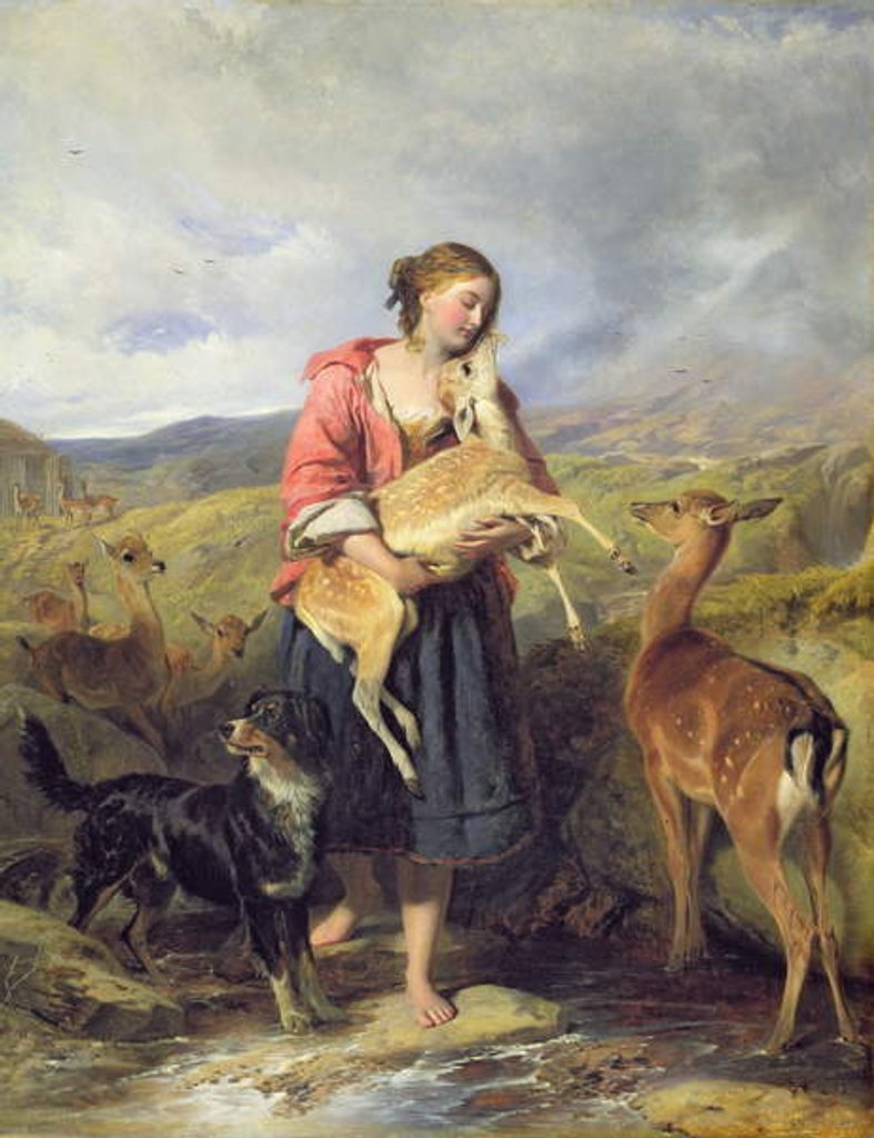 Detail of The Pet Fawn, 1860 by William Powell Frith