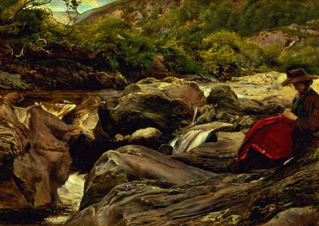 Detail of The Waterfall, 1853 by John Everett Millais
