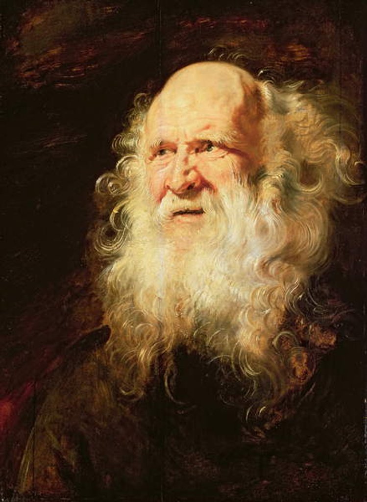 Detail of Study of Heads of an Old Man, c.1612 by Peter Paul Rubens