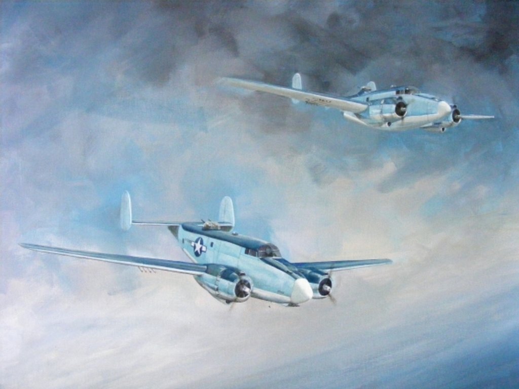 Detail of Harpoon Pair by Dominic Berry