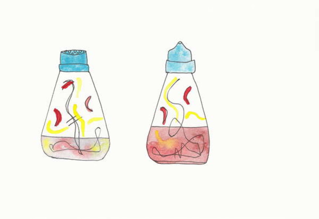 Detail of salt & pepper shakers by Daisy de Villeneuve