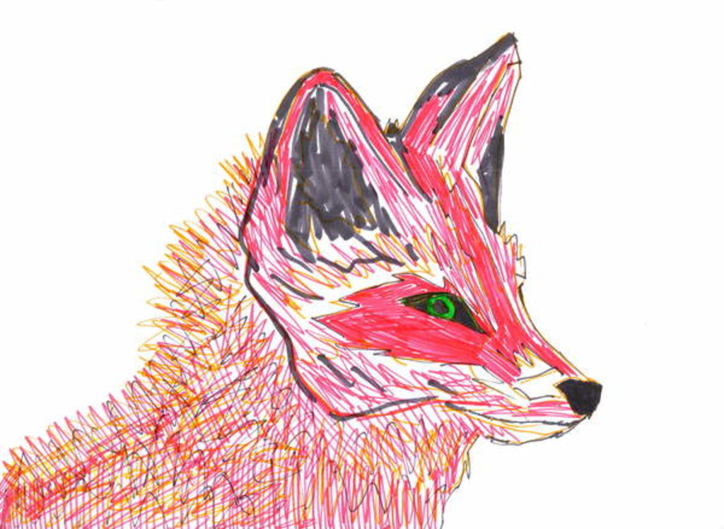 Detail of Fox by Daisy de Villeneuve