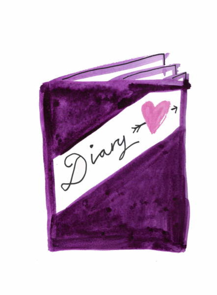 Detail of Diary by Daisy de Villeneuve