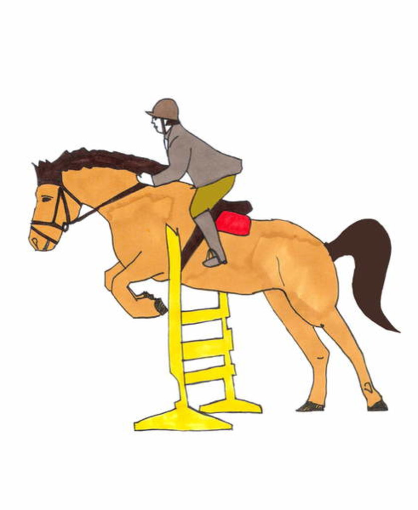 Detail of Horse Jumper by Daisy de Villeneuve