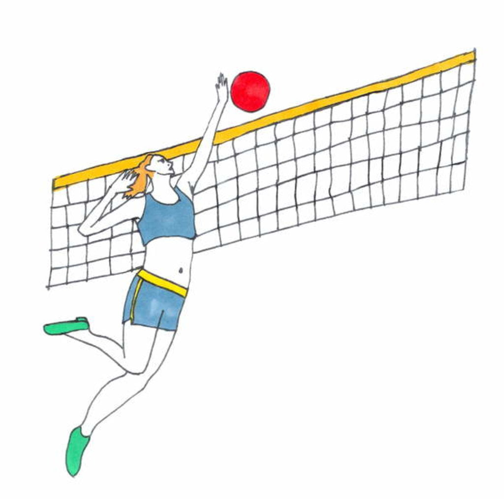 Detail of Volleyball by Daisy de Villeneuve