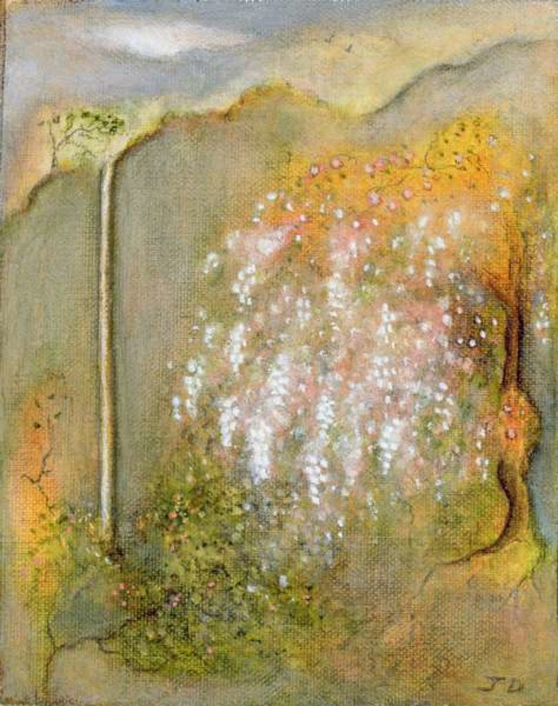 Detail of White Whisteria, 2001 by Jane Deakin