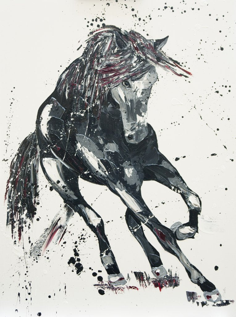 Detail of Significance, 2016 by Penny Warden