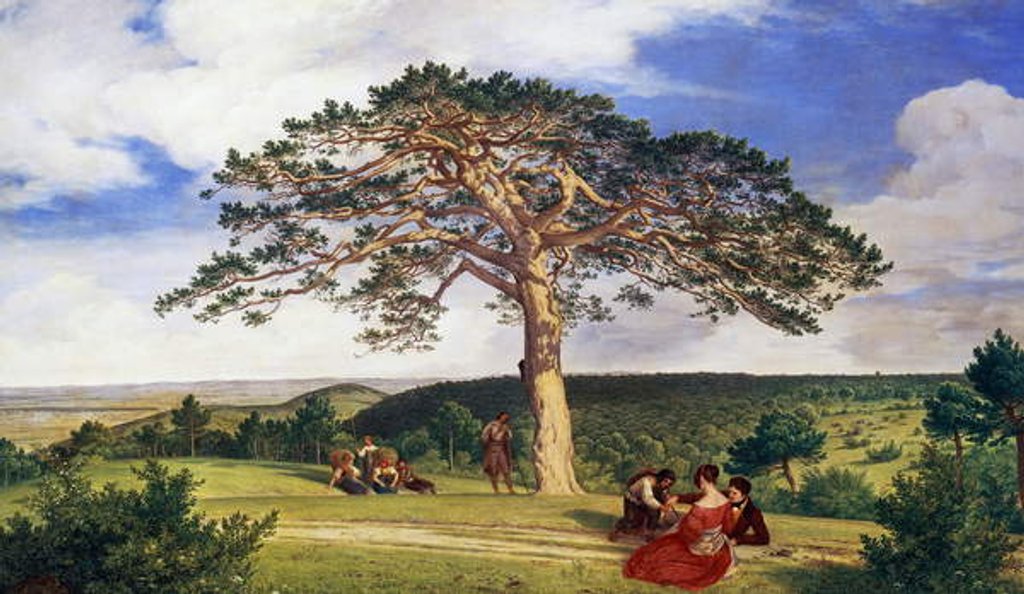 Detail of Big pine in Bruhl valley near Moding, 1838 by Ludwig Ferdinand Schnorr von Carolsfeld