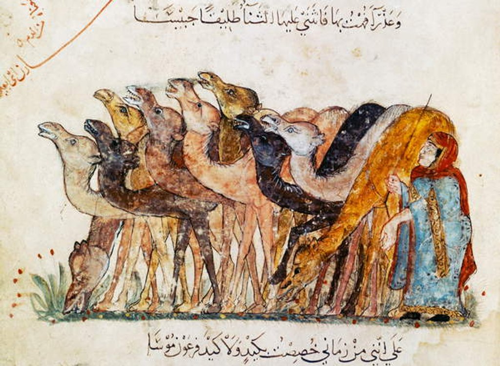 Detail of Ms Ar 5847 f.101, Herd of camels by Yahya ibn Mahmud Al-Wasiti