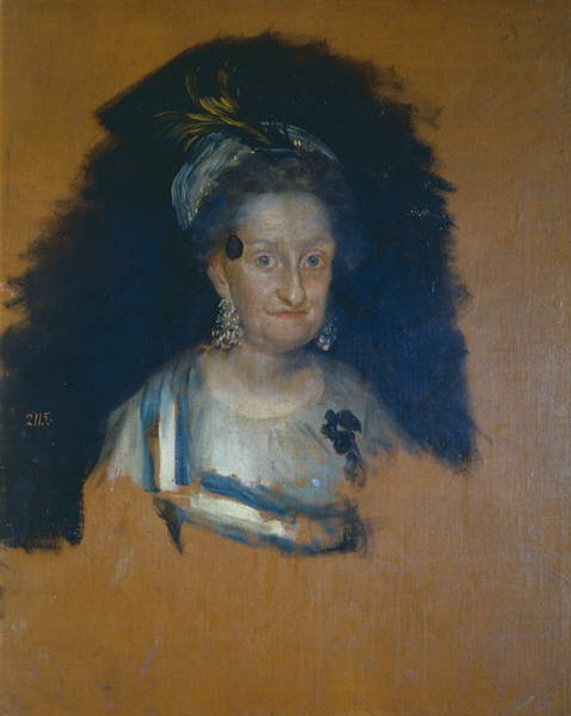 Detail of Infanta Maria Josefa, preliminary sketch for the group portrait of The Family of Charles IV, 1800 by Francisco Jose de Goya y Lucientes