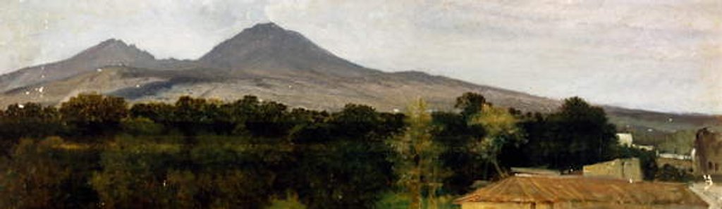 Detail of Surroundings of Vesuvius, 1875 by Federico Rossano