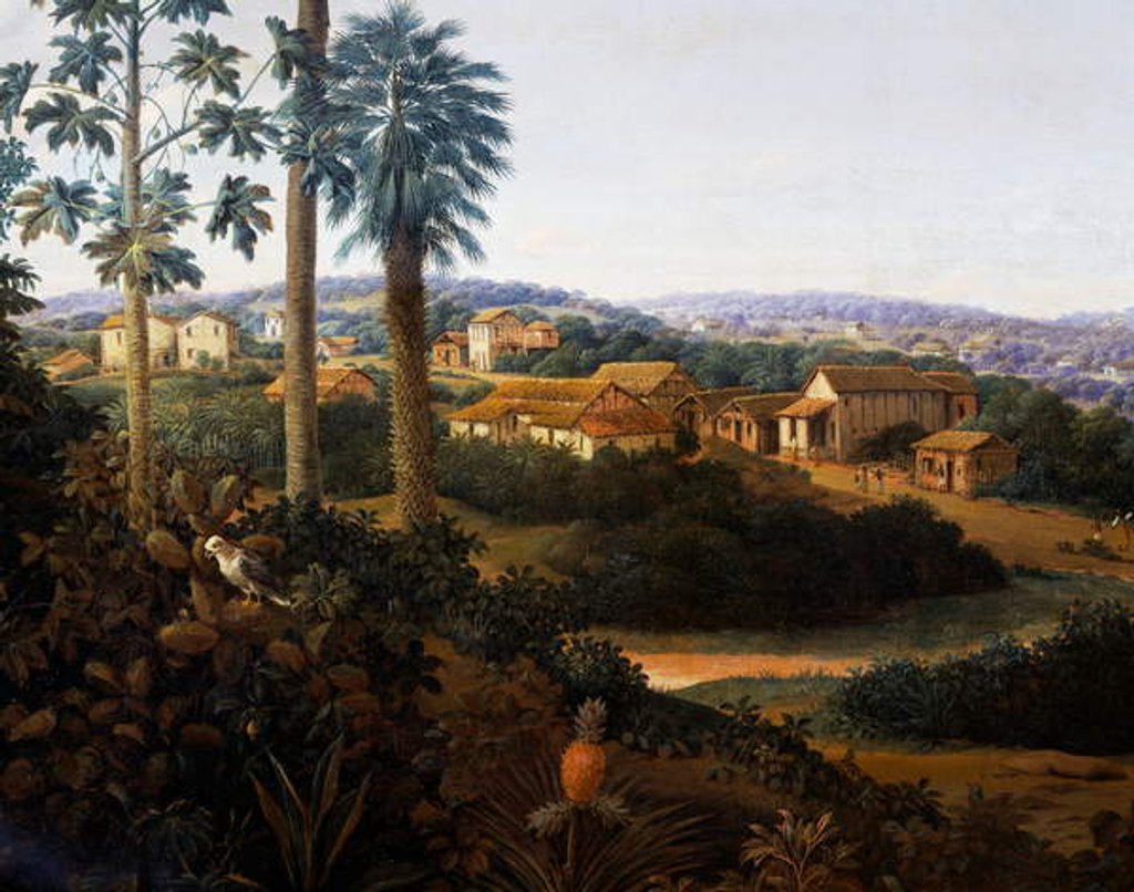 Detail of Serinhaem village in Brazil or The home of a sugar cane planter in Brazil by Frans Jansz Post