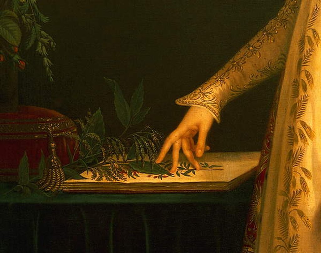 Detail of Portrait of Josephine Bonaparte by Robert Lefevre