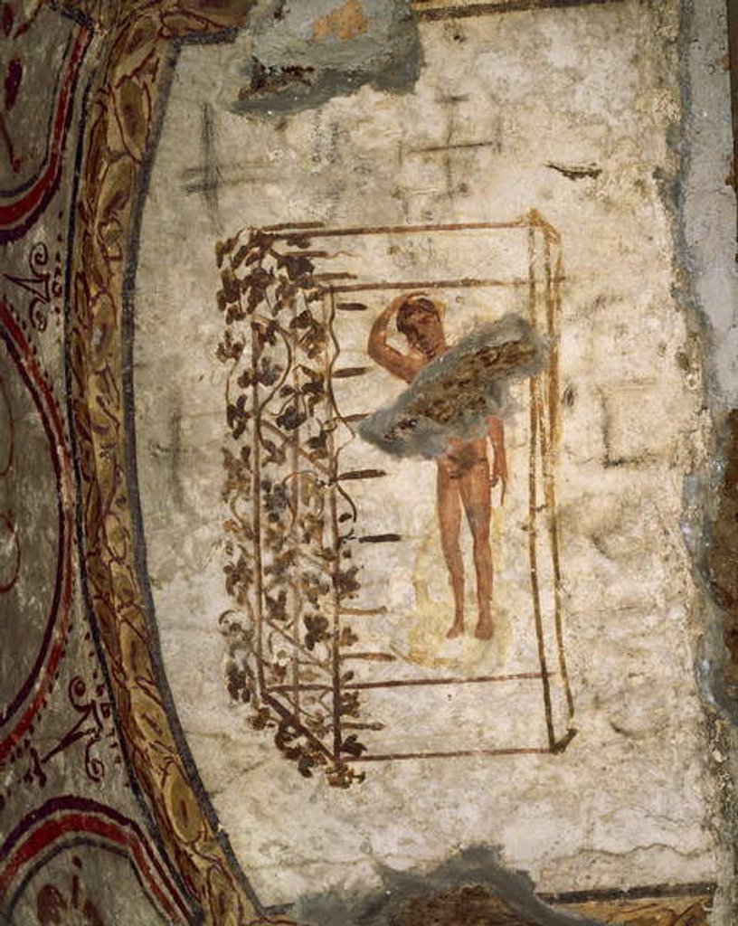 Detail of Youth, trellis and vines, 3rd-5th century AD by Roman Roman