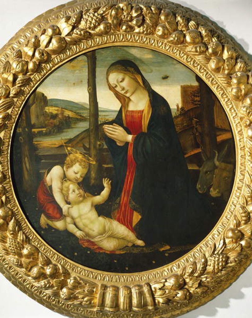 Detail of Madonna and Child with St. John by Master of the Miller Tondo