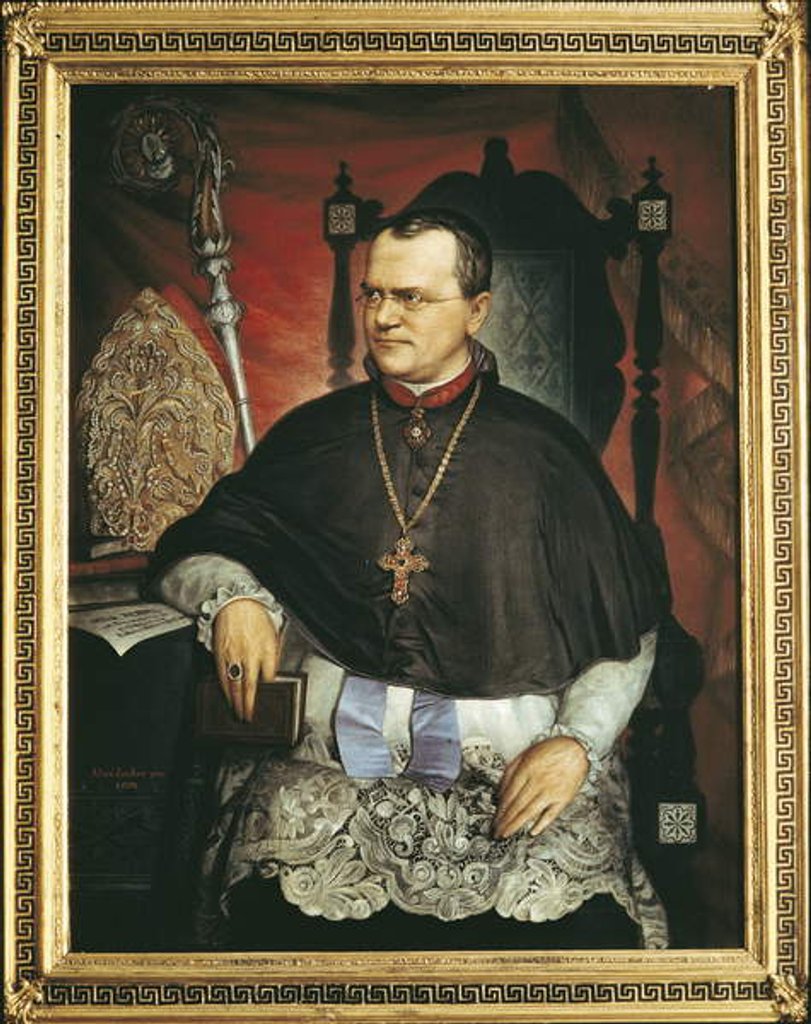 Detail of Gregor Mendel by Austrian School