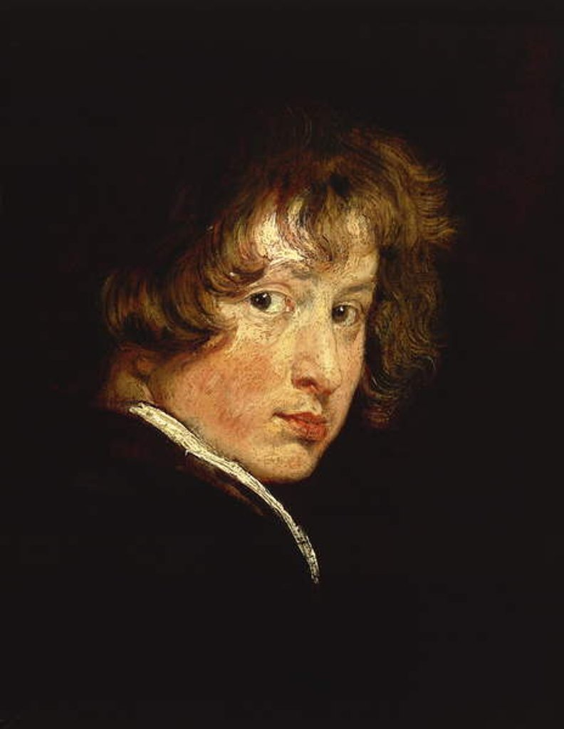 Detail of Self portrait at sixteen, 1615 by Anthony van Dyck