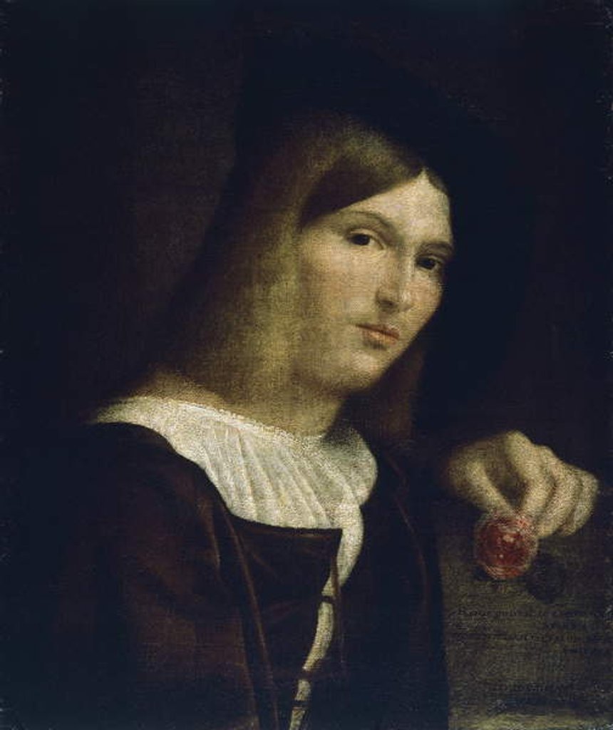 Detail of Portrait of a Young Man with a Rose, 1516 by Francesco (1482/3-1562) Torbido