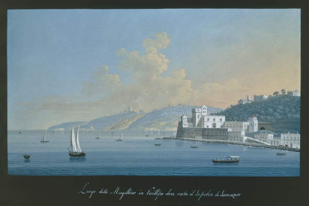 Detail of View of Mergellina by Alessandro d' Anna