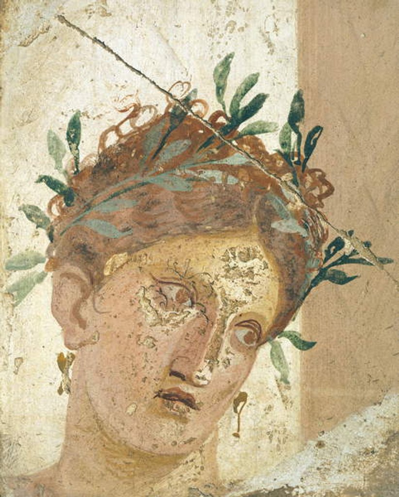 Detail of Face of a young girl by Roman