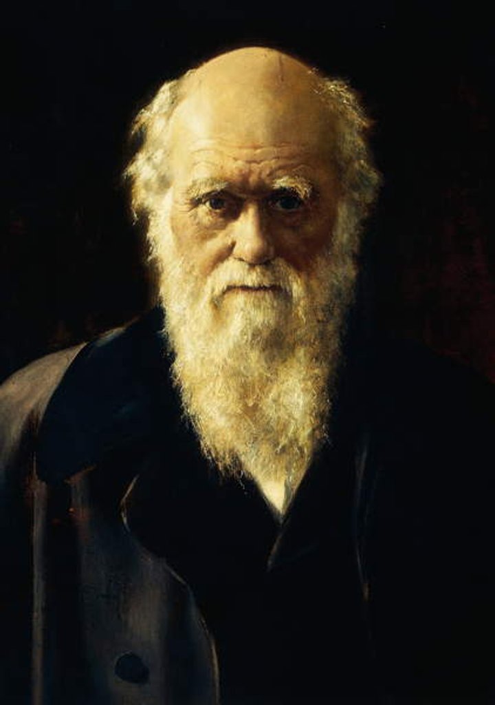 Detail of Portrait of Charles Darwin, 1883 by John Collier