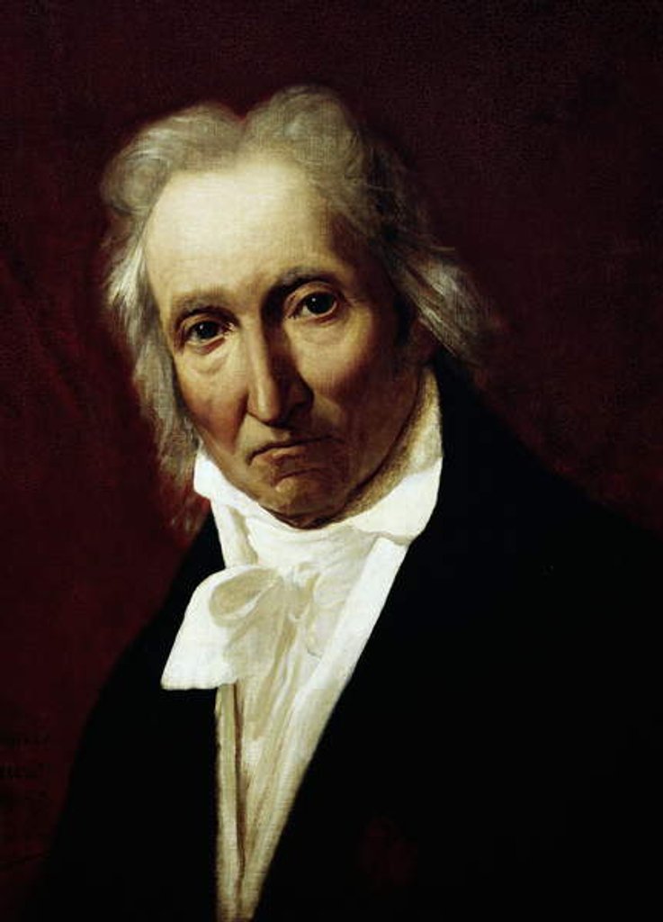 Detail of Portrait of Joseph-Marie Jacquard by François Lépagnez