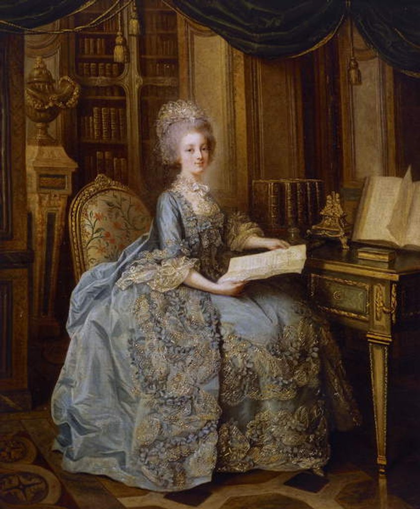 Detail of La Petite Reine or Portrait of Madame Sophie, c.1770-74 by Lié Louis Périn Salbreux