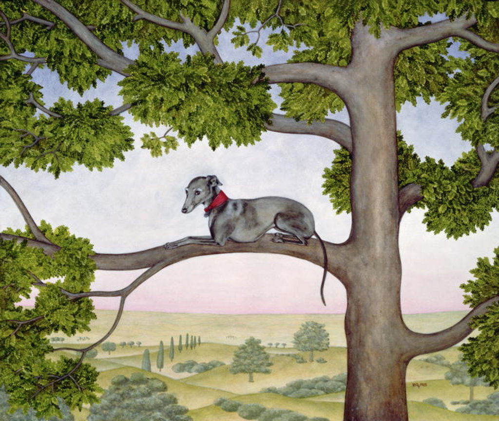 Detail of The Tree Whippet by Ditz Ditz