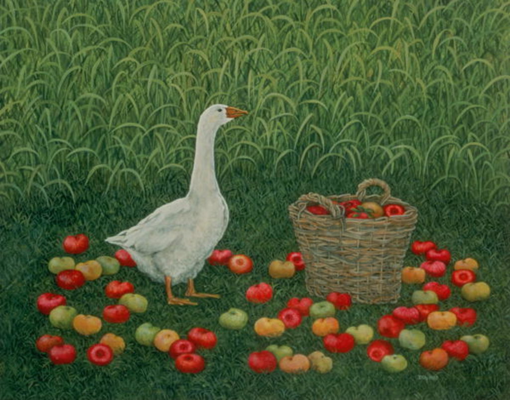 Detail of The Apple Basket by Ditz Ditz