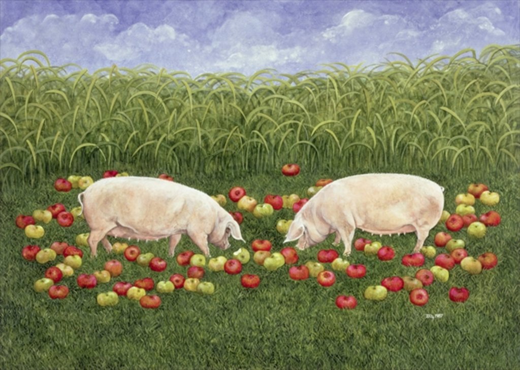 Detail of Apple-sows by Ditz Ditz