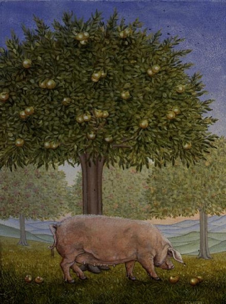 Detail of Right Hand Orchard Pig by Ditz Ditz