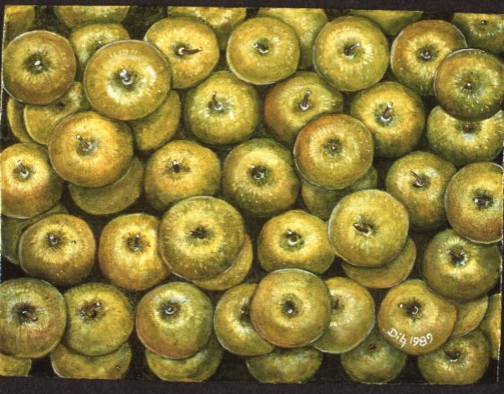 Detail of Green Apple Spread by Ditz Ditz