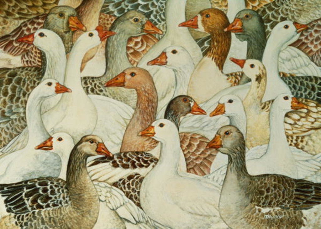 Detail of Patchwork Geese by Ditz Ditz