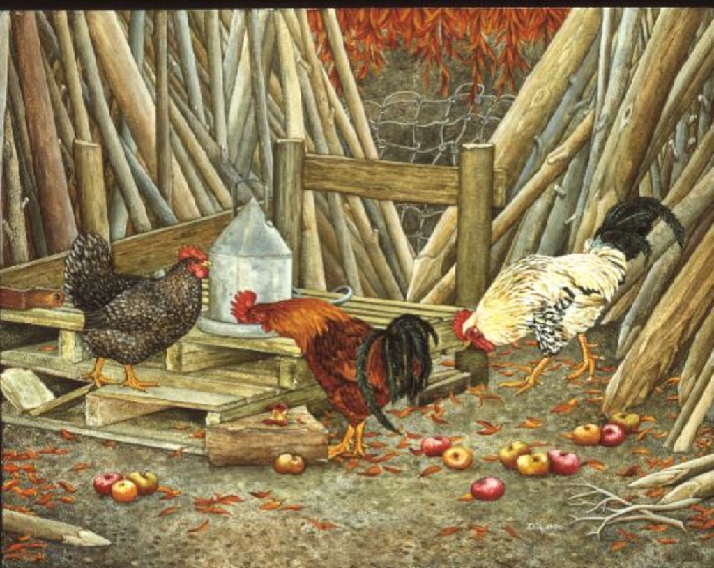 Detail of Chicken Feed by Ditz Ditz